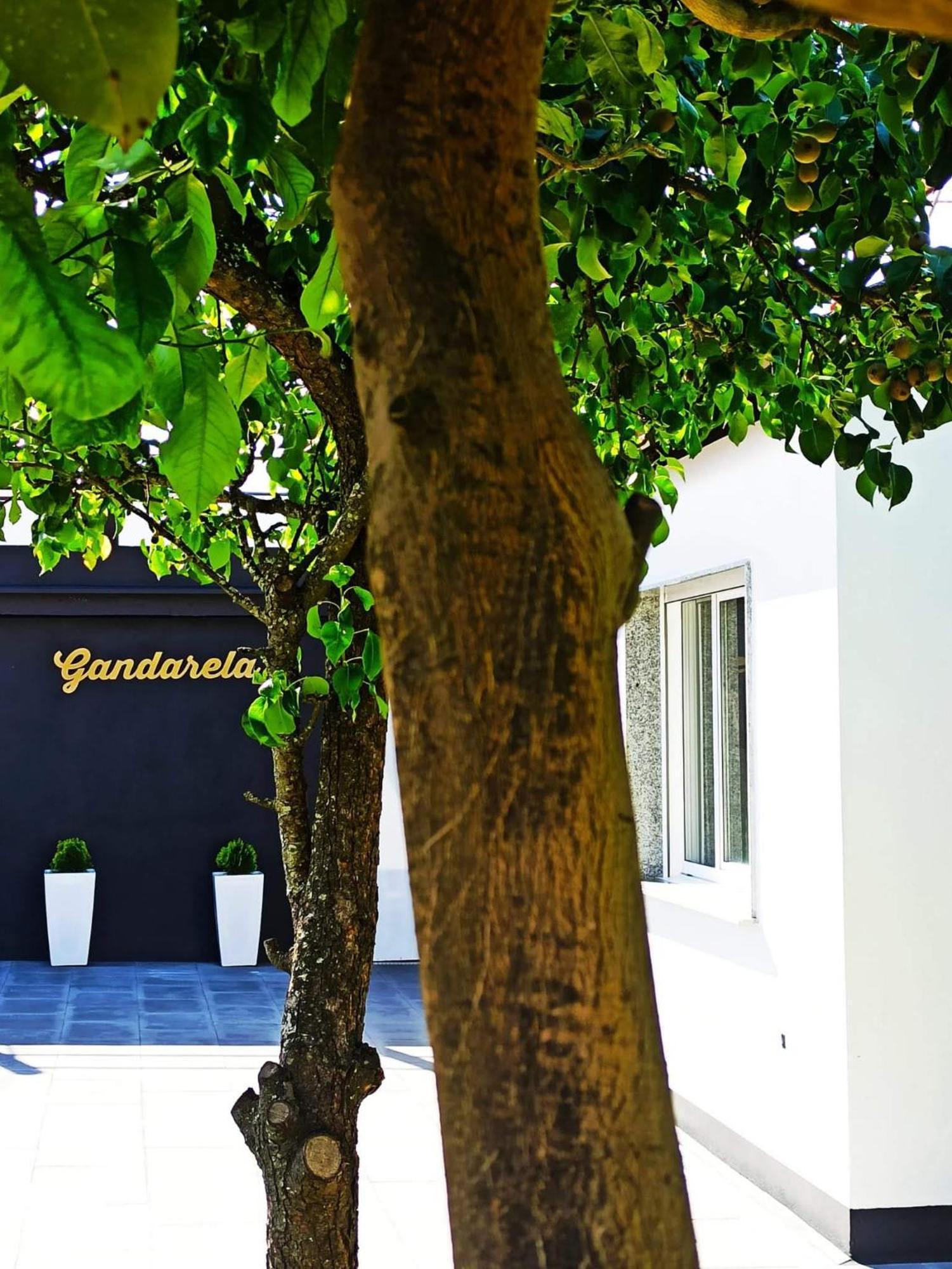 Apartamentos Gandarela Sanxenxo Exterior foto